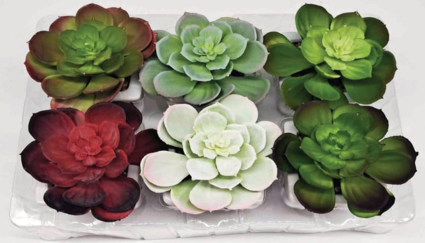 PLANTA ARTIFICIAL CACTUS MACETERO CERAMICA VARIOS F21040 (8 x 8 x 12.5cm)