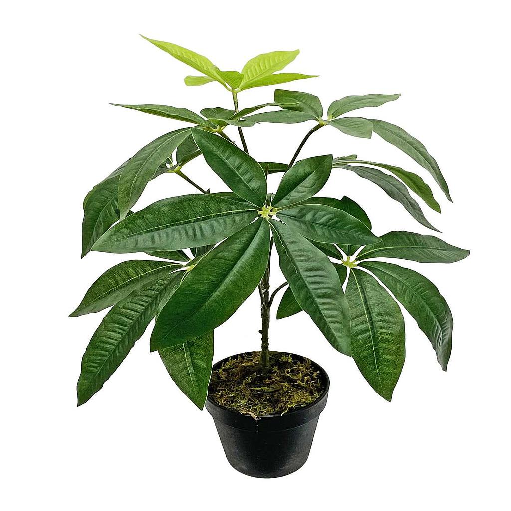PLANTA ARTIFICIAL FORTUNA F21899 (45cm)