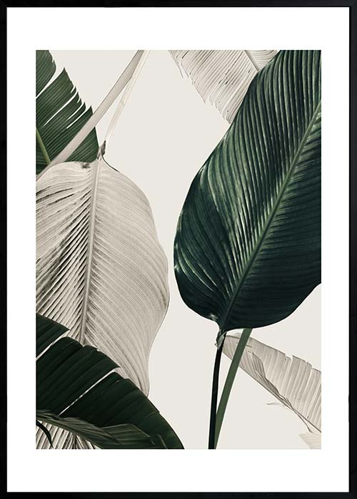 CUADRO HOJAS VERDES 15496A (50 x 70cm)