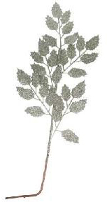 RAMA ARTIFICIAL NAVIDENA VERDE BRILLOS 511380 /XL20-282