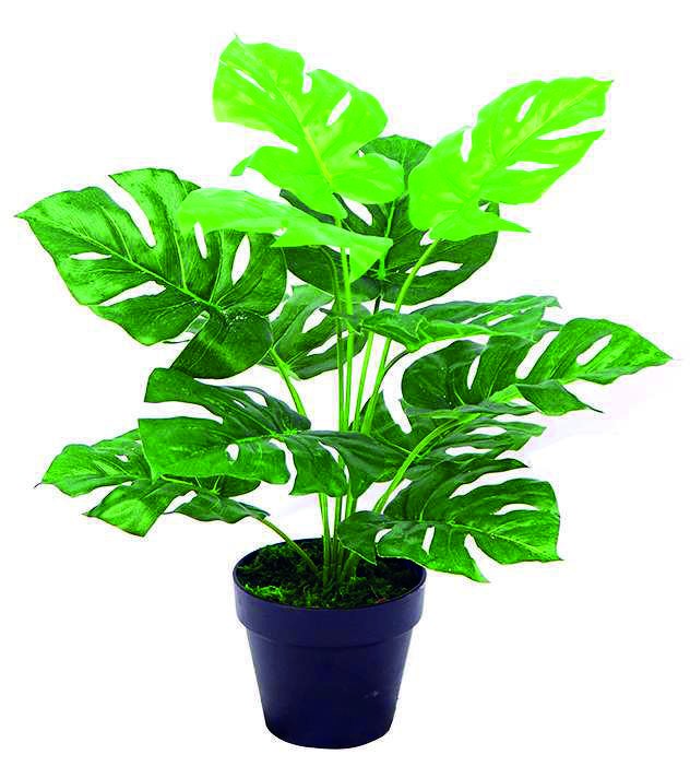 PLANTA ARTIFICIAL MONSTERA CON MACETA F22449 (45cm)