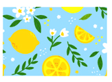 INDIVIDUAL RECTANGULAR DISENO LIMONES 7862117484530 (45 x 30cm)
