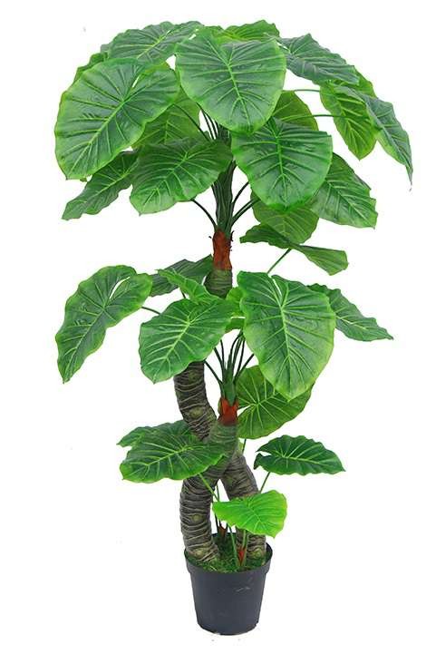 PLANTA ARTIFICIAL TARO F23285 (170cm)
