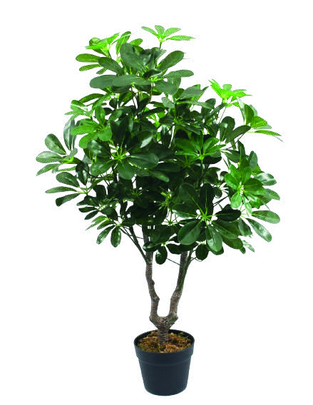 PLANTA ARTIFICIAL SCHEFLERA MACETA F23888 (90cm)