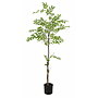 PLANTA ARTIFICIAL ARBOL ESMERALDA 4HM5-4